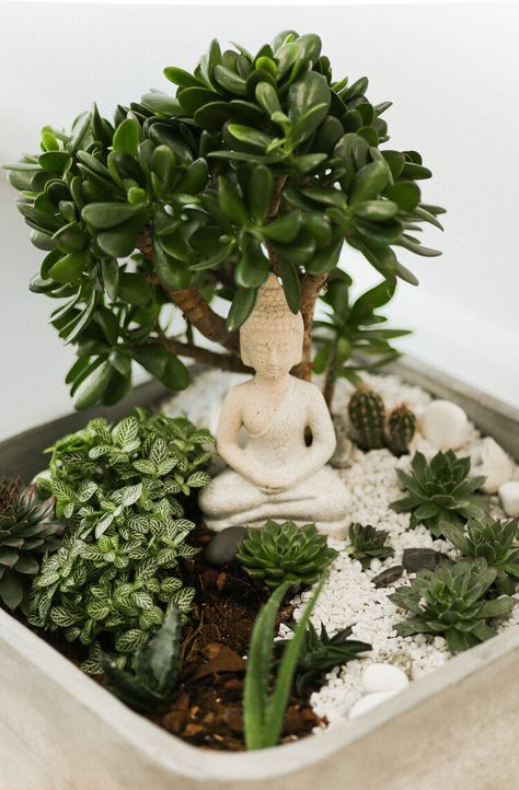 Zen Miniature Garden, Mini Zen Garden Terrarium, Succulent Zen Garden, Zen Mini Garden, Zen Garden Design Miniature, Cactus Terrarium Ideas, Buddha Bedroom Ideas, Diy Zen Garden Mini, Mini Garden Design