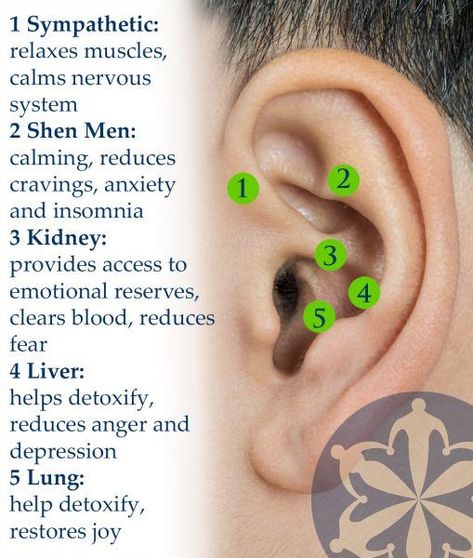 Ear Acupressure Points, Ear Reflexology, Ear Seeds, Acupressure Therapy, Reflexology Chart, Reflexology Massage, Acupuncture Points, Acupressure Points, Behavioral Health