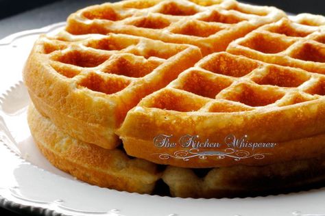 Best Belgian Waffle Recipe - Tastes like Funnel Cake Waffle Recipe For 2, Waffle Recipe Uk, Bisquick Waffle Recipes, Easy Belgian Waffle Recipe, Best Belgian Waffle Recipe, Belgian Waffle Recipe, Best Waffle Recipe, Belgian Waffles Recipe, Easy Waffle Recipe