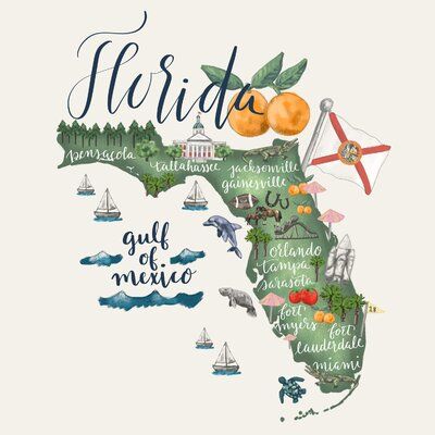 Celebrate Colorado! Colourful state art. Size: 21" H x 21" W, State: Florida Airbnb Themes, Florida Wallpaper, Florida Artwork, Florida Wall Art, Emily Wood, Florida Decor, Oopsy Daisy, Florida Art, Map Of Florida