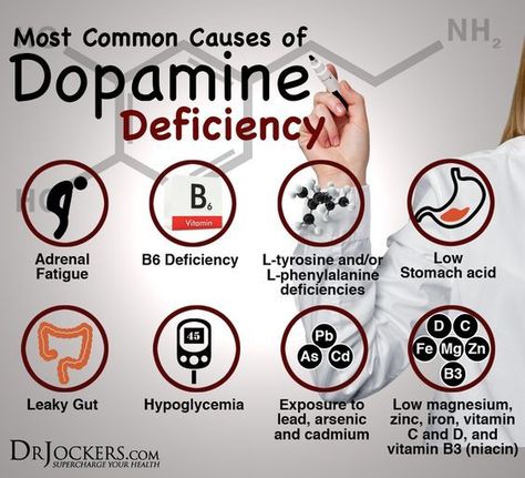 Anti Social Personality Disorder, Anti Social Personality, Low Dopamine, Dopamine Deficiency, Social Personality, Increase Dopamine, Dr Jockers, Dopamine Serotonin, Calendula Benefits