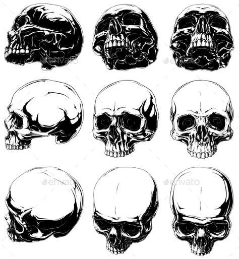 Jawless Skull Drawing, Sideways Skull, Skull Without Jaw, Animation Drawing Sketches, Skull Reference, Graphic Black And White, Skull Sketch, Occult Tattoo, Owl Tattoo Design