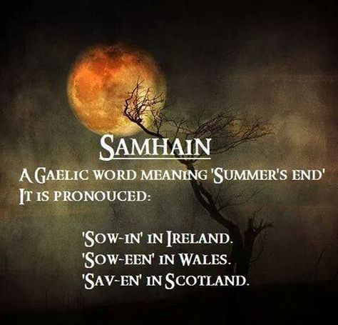 Samhain Gaelic Words, Samhain Halloween, Inverness, Samhain, Fete Halloween, End Of Summer, Hallows Eve, Book Of Shadows, The Words