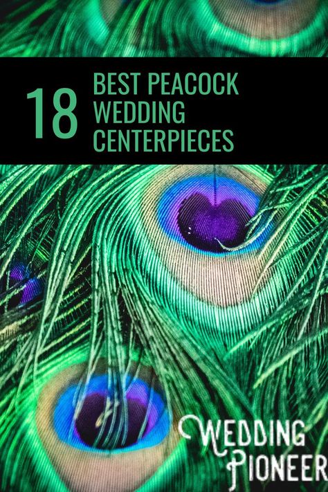 Go bold with blue! Our peacock-themed wedding centerpiece ideas are sure to stun your guests and create an unforgettable atmosphere. Click to browse the selection and inspire your wedding day decor. Peacock Feather Table Decor, Peacock Feather Flower Arrangements, Peacock Pumpkin Decorating, Peacock Wedding Decor, Peacock Wedding Ideas, Peacock Wedding Centerpieces, Peacock Wedding Decorations, Peacock Theme Wedding, Peacock Wedding Inspiration