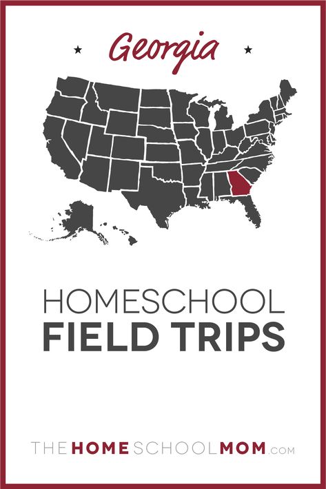 Texas Homeschool, Homeschool Field Trips, School Field Trip, Homeschool Education, Virtual Field Trips, Homeschool High School, Homeschool Help, School Administration, Homeschool Art