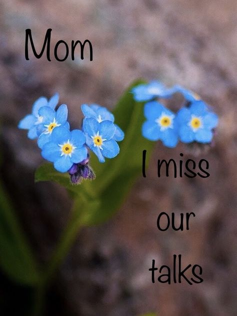 Oh how i miss our tallks Mom we use to be able to talk about evrything and anything sometimes it was serious and sometimes it was filled with a whole lot of laughter .how i miss them and i miss you period. I Need You Mom, Memorial Quotes For Mom, Miss My Mom Quotes, Missing Mom Quotes, Miss U Mom, Miss You Mum, Quotes For Mom, Mom In Heaven Quotes, Miss You Mom Quotes