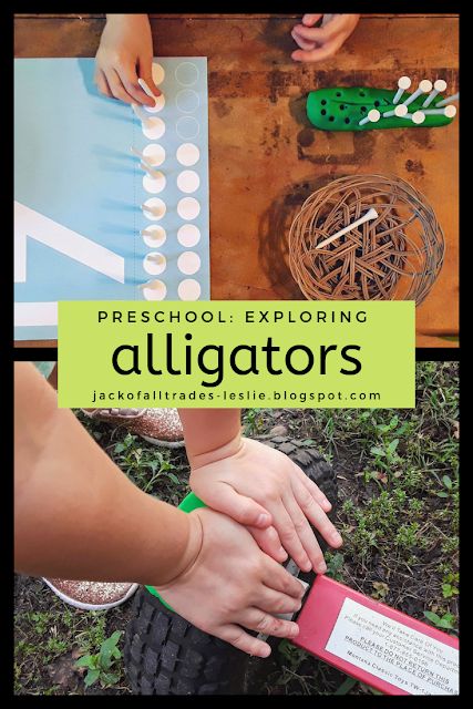 Jack of All Trades: Preschool: Exploring Alligators Alligator Preschool Activities, Preschool Alligator Activities, Alligator Lesson Preschool, Alligator Games Preschool, A For Alligator, See You Later Alligator Printable, Allie Alligator Zoo Phonics, Tooth Preschool, Crocodile Craft