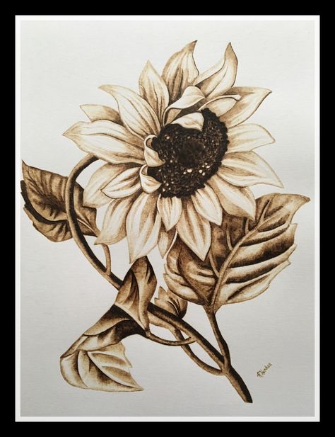 Pyrography on paper. sunflower art. Skull Sunflower Drawing, Wood Burn Sunflower, Pyrography On Paper, Pyrography Art Ideas, Pyrography Art Woodburning, Sunflower Pyrography, Flower Pyrography, Pyrography Flowers, Burning Flowers