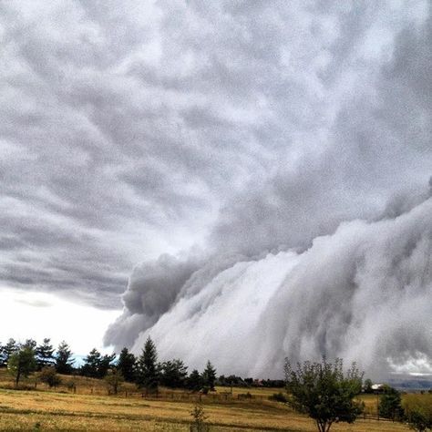 The sky is falling - Montana Montana Shelf, Weather Phenomenon, Shelf Cloud, The Sky Is Falling, Weather Cloud, Wild Weather, Bozeman Montana, Big Sky Country, Oct 1