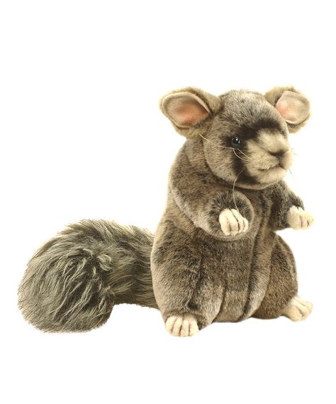 Look at this Chinchilla Plush Toy on #zulily today! Chinchilla Plush, Chinchilla Toys, Teen Decor, Chinchillas, Stuffed Animals, Plush Toy, Look At, Teddy Bear, Toys