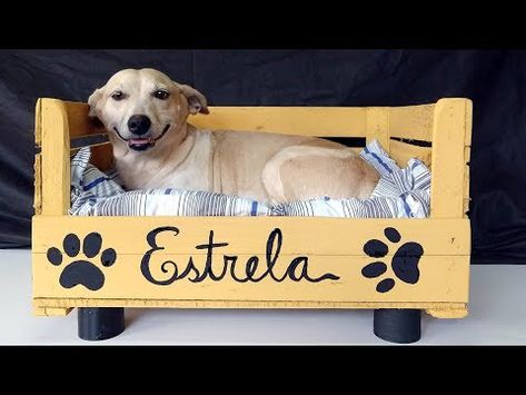 Cama para cachorro: 45 modelos de caminha artesanal e barata (passo a passo) Diy Pet Bed, Diy Dog Bed, Dog Area, Old Suitcases, Dog Cages, Cat Diy, Dog Houses, Diy Stuffed Animals, Diy Dog Stuff