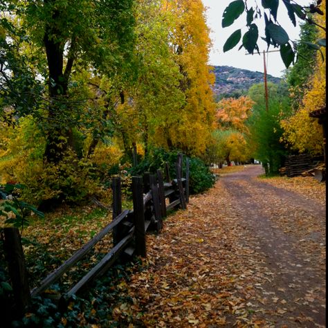 Fall in Oak Glen California Oak Glen California, Engagements Pictures, Oak Glen, Camping In The Rain, Holiday Traditions Family, Apple Orchards, Camp Lake, Stone Soup, Photoshoot Locations