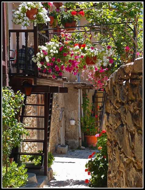 Kakopetria Cyprus. by ikerr, via Flickr Cyprus Trees, Cyprus Island, Cyprus Holiday, Cyprus Paphos, Greece Pictures, North Cyprus, Breathtaking Places, Paphos, Village Life