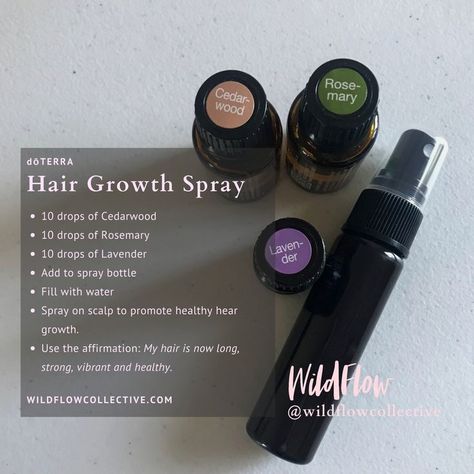 Hair Growth After Chemo, Rosemary Oil For Hair, Hair Growth Spray, Doterra Essential Oils Recipes, Essential Oils Guide, Essential Oil Spray, Cedarwood Oil, Cedarwood Essential Oil, Essential Oils For Hair