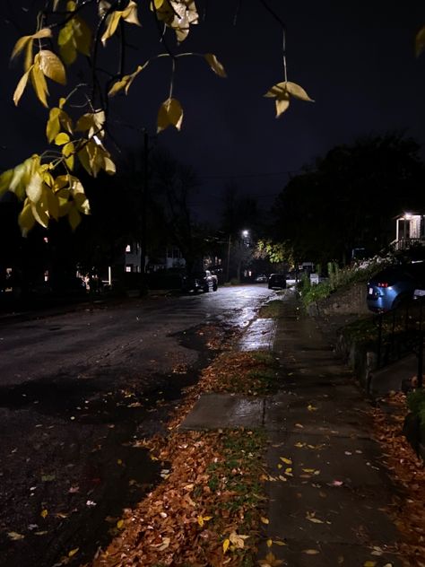 Dark Neighborhood Aesthetic, Suburbia Aesthetic Night, Twilight Weather, Neighborhood At Night, Suburban Neighborhood Aesthetic Night, Night Time Aesthetic, Night Time Neighborhood Aesthetic, Nighttime Suburbs Aesthetic, Black Hour