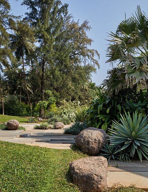 Xeriscaping 101: Landscape architect Kunal Maniar shares pointers on how to craft an eco-friendly garden - ELLE DECOR Kunal Maniar Landscape, Gardens With Rocks, Dry Landscape, Irrigation Methods, Xeriscape Landscaping, Fruit Bearing Trees, Landscaping With Boulders, Eco Friendly Garden, Aesthetic Garden