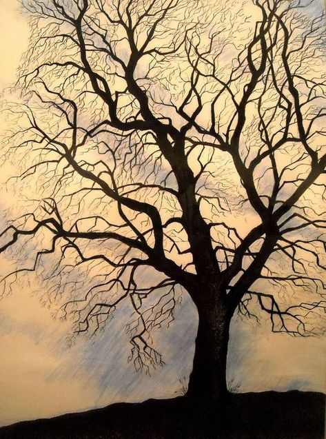 Leafless Tree Drawing, Tree Drawings Pencil, Tree Sketches, Bare Tree, Tree Drawing, Landscape Drawings, Tree Tattoo, Color Pencil Drawing, Drawing Videos