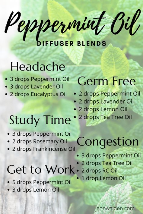 Diffuser Blends Peppermint, Peppermint Essential Oil Uses Diffuser, Headache Diffuser Blends Young Living, Peppermint Oil Blends, Clean Essential Oil Blends, Peppermint Diffuser Blend, Peppermint Essential Oil Blends, Oil Blends To Diffuse, Diffuser Oil Blends