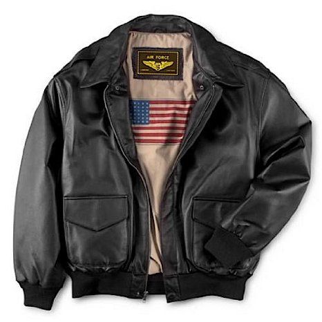 Airforce Jackets Men, Cool Leather Jackets Men, Mike Outfits, Aviation Jacket, A2 Flight Jacket, Mens Leather Jacket, Lightning Thief, Visual Archive, Mens Leather Clothing