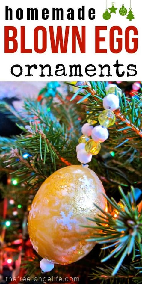 Egg Christmas Ornaments, Homestead Diy, Blown Eggs, Egg Christmas, Egg Ornaments, Holiday Traditions Family, Homemade Ornaments, Ornament Tutorial, Xmas Ideas