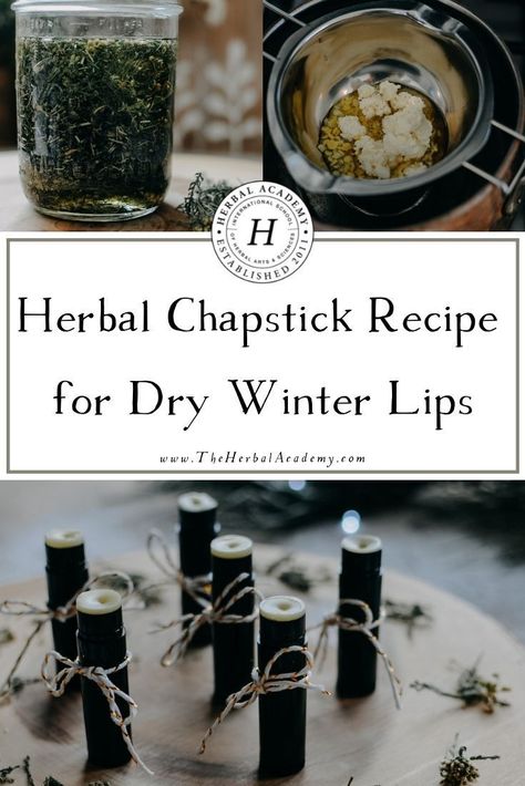 Best Chapstick Recipe, How To Make Natural Chapstick, Winter Lip Balm Recipe, Diy Natural Chapstick, Chapstick Diy Recipes, Healing Lip Balm Recipe, Herbal Lip Balm Recipes, Herbal Academy Recipes, Homemade Chapstick Recipe