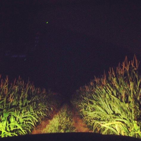 Corn field at night Corn Field At Night, Cornfield Aesthetic Night, Cornfield At Night, Farm Night Aesthetic, Farm At Night Aesthetic, Field At Night Aesthetic, Corn Field Aesthetic, Farm At Night, Midwestern Gothic