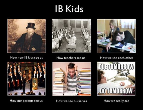 Ib Students, Ib Classroom, Better Grades, International Baccalaureate, School Sucks, College Writing, Student Problems, Student Humor, 8th Sign