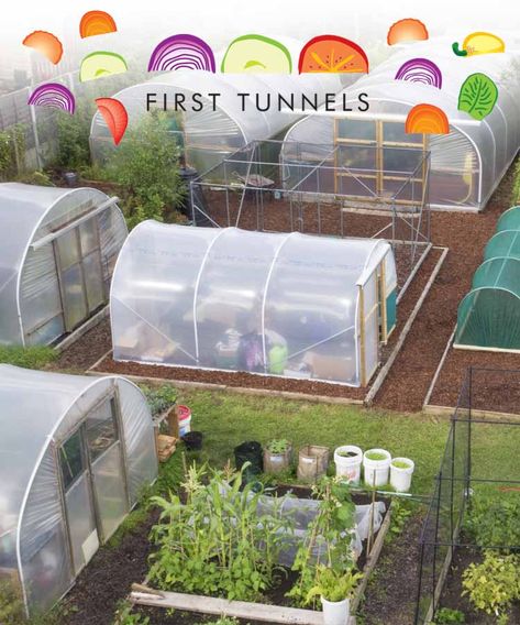 Poly Tunnel, Fruit Cage, Garden Goals, How To Store Potatoes, Perennial Vegetables, Reclaimed Brick, Veg Garden, Cut Flower Garden, Cold Frame