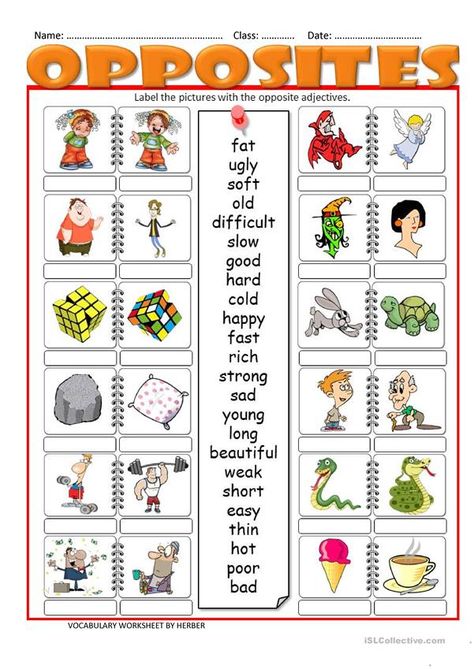 OPPOSITES WS worksheet - Free ESL printable worksheets made by teachers Opposites Preschool, Opposites Worksheet, Materi Bahasa Inggris, Adjective Worksheet, Opposite Words, Learning English For Kids, English Worksheets For Kids, Learning Worksheets, Kindergarten Lessons