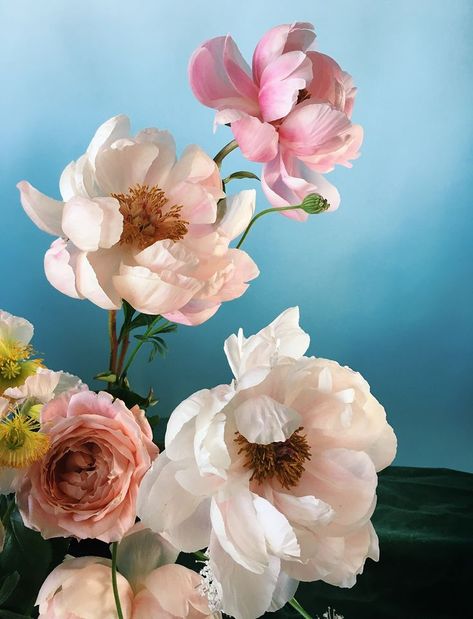 White Flower Arrangement, White Flower Arrangements, Sight Unseen, Still Lifes, Paint By Numbers, White Flower, Flower Wallpaper, Flower Arrangement, Flowers Photography