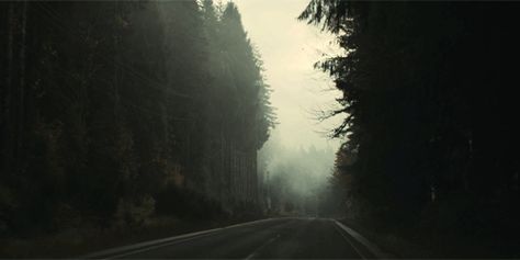 Road Trip Playlist, Alan Wake, Between Two Worlds, Forest Road, Road Trip Hacks, Wow Art, On The Road Again, Nature Gif, Aesthetic Gif