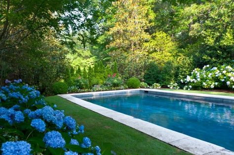 20+ Hydrangea Garden Designs, Ideas | Design Trends - Premium PSD, Vector Downloads Landscaping Around Pool, Landscaping Around House, Pool Landscape Design, Stock Tank Pool, Pool Colors, Rectangular Pool, Backyard Pool Designs, Beautiful Pools, Swimming Pools Backyard