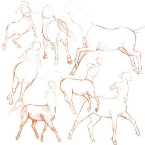 Centaur Sitting, Sitting Reference, Art Sketches, Art Inspo, Moose Art, Humanoid Sketch, Animals, Art