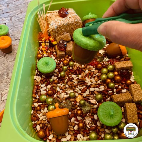 Squirrel Sensory Bin, Squirrel Theme Preschool, Squirrel Preschool, Acorn Crafts Preschool, Preschool Apple Unit, Fall Sensory Bin, Fall Sensory, Toddlers Activities, Orange Room