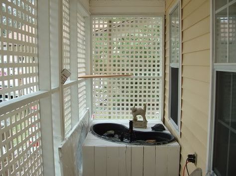 Cat Safe Balcony Small Apartments, Cat Friendly Apartment Balcony, Cat Proof Balcony Rental, Cat Friendly Balcony, Cat Proof Terrace, Cat Balcony, Cat Proof Balcony, Coolest Photos, Outdoor Pet Enclosure