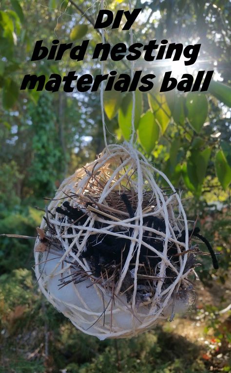 Diy Bird Nesting Materials, Bird Nesting Material, Backyard Birds Watching, Bird Nesting Box, Bird Nest Craft, Hummingbird Nests, Homemade Bird Houses, Bug Hotel, Bird Aviary