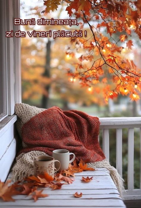 Cute Book Pictures, Natural Autumn Decor, Fall Esthetics, Soft Warm Aesthetic, Fall Morning Aesthetic, Beautiful Autumn Scenery, Fall Season Pictures, Fall Aesthetic Pumpkin, Cozy Nature