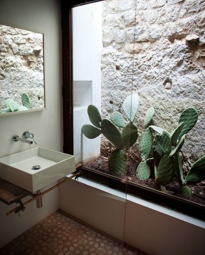 Bathroom cactus Modern Style Decor, Window Well, Basement Windows, Rustic Bathrooms, Light Well, Patio Interior, Design Hotel, Natural Home Decor, Interior Garden