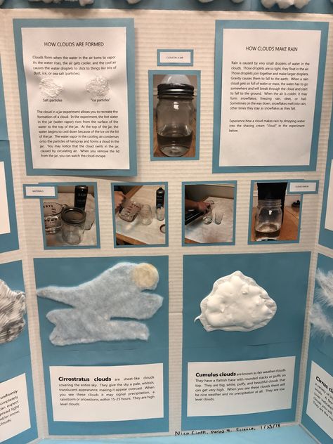 Clouds Science Fair Project, Cloud Project, Clouds Lesson Plan, Stem Fair Projects, Clouds Lesson, Cirrostratus Clouds, Science Fair Poster, Science Project Board, Elementary Science Fair Projects