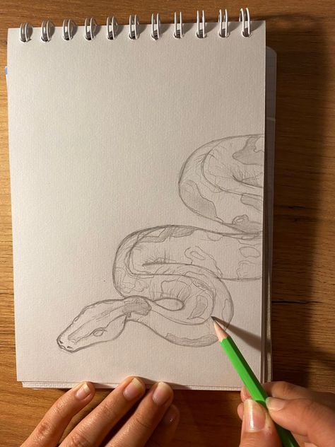 How To Draw A Cute Snake Step By Step, Step By Step Snake Drawing, Snake Tutorial Draw, Water Snake Drawing, Drawing Ideas Snake Easy, Snake In Hand Drawing, Snake Drawing Sketches Easy, Snakes To Draw, Snake Base Drawing