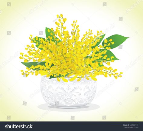 Illustration Papilionoideae Flowers Padauk Flowers National Stock Vector (Royalty Free) 1036570228 | Shutterstock Padauk Flower Drawing, Padauk Flower Myanmar, Padauk Flower Illustration, Water Festival Myanmar Design, Padauk Flower, Myanmar Design, Manners Books, Water Festival, Lotus Flower Pictures