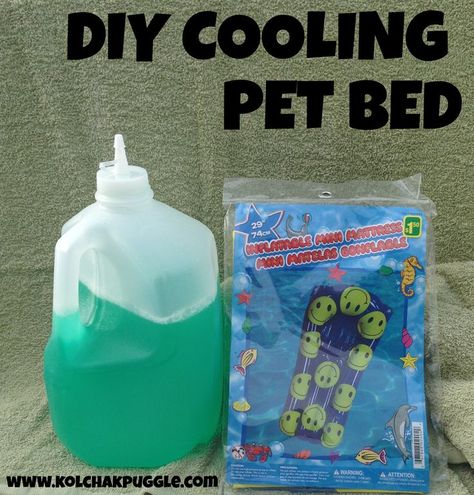 Cooling Dog Bed, Dogs Bed, Diy Pet Bed, Diy Dog Bed, Game Mode, Cool Dog Beds, Bed Diy, Dog Projects, Dog Crafts