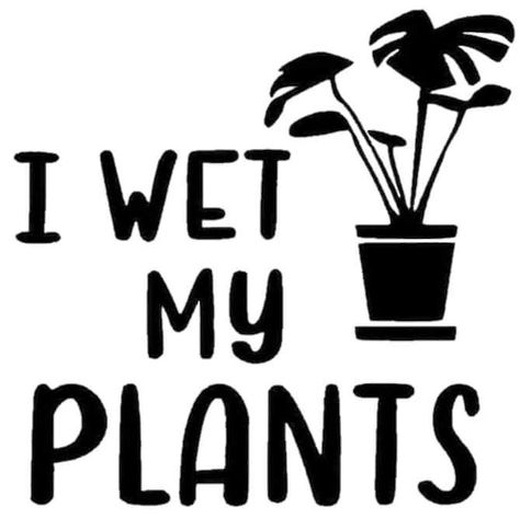 Plant Jokes, Garden Quotes Signs, Garden Puns, Cricut Flowers, File Ideas, Cricut Templates, Diy Magnets, Funny Tea Towels, Cricket Projects