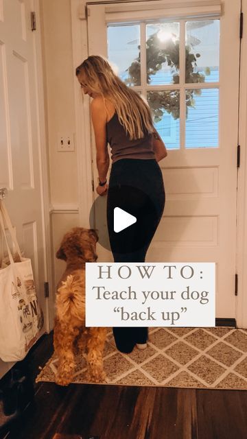 The Good Dog Yorktown on Instagram: "“Back up” is a great trick and it also helps with your dog’s body awareness and coordination! This was real time of my dog learning this for the first time. I love this command for opening doors & when a dog is crowding me or anyone/anything else. This can be a hard one for them to grasp at first so take it really slowly when teaching them! Break it down into really small steps and practice just a few minutes at a time to prevent frustration. We always want learning to be fun for your pup! #dogtraining #balanceddogtraining #positivereinforcement #backup #dogtrick #tricktraining" Cool Dog Tricks, Dog Tricks Easy, Dog Commands, Dog Tricks, House Training Dogs, Be Calm, Dog Training Advice, Pet Blog, Good Dog