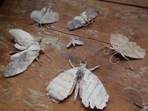 moths out of paper bark? Paper Moth, Paper Art Sculpture, Mushroom Crafts, Paper Pop, Paper Mache Sculpture, Folded Book Art, Paper Butterfly, Butterfly Crafts, Insect Art