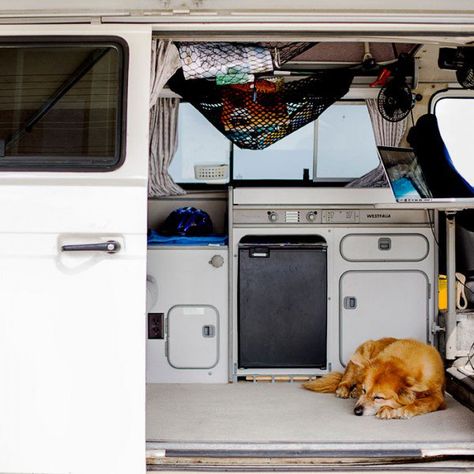 Truck fridge in vanagon. The Purpose-Driven Van | Outside Online Vw T3 Camper, Eurovan Camper, Vw T3 Syncro, T3 Vw, Vw Westfalia, Vw Vanagon, Bus Interior, Kombi Home, Vw Bus Camper