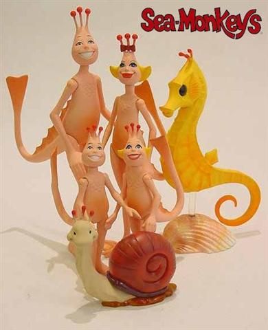 Sea-Monkeys the Easiest Pets of all Sea Monkeys, Easy Pets, Vintage Memory, I Remember When, Childhood Toys, Retro Toys, Sweet Memories, Great Memories, Old Toys