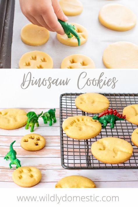 Toddler Birthday Party Themes, Dinosaur Birthday Party Food, Birthday Biscuits, Dinosaur Cookies, Kids Party Food, Sweet Treats Recipes, Cookies For Kids, Baking With Kids, Vegan Dessert Recipes