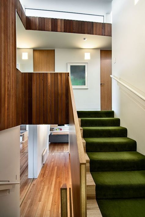 Green stair treads Seaview House, Wc Decoration, Sea View House, Beautiful Stairs, Wellington New Zealand, Wood Stairs, Interior Stairs, Contemporary House Design, Wood Ceilings