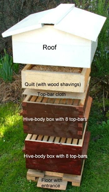 warre5 Langstroth Hive, Top Bar Hive, Bee Hive Plans, Backyard Bee, Body Box, Raising Bees, Backyard Beekeeping, Permaculture Design, Hobby Farms